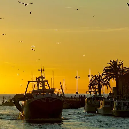 Marina Julia Aigues-Mortes